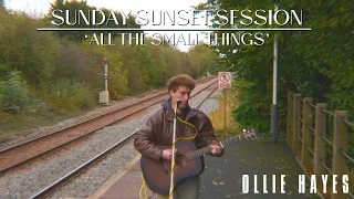 ‘All The Small Things’ - Blink 182 (Sunday Sunset Session)