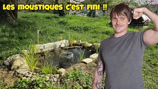 Comment faire un Bassin de Jardin naturel ANTI-MOUSTIQUE