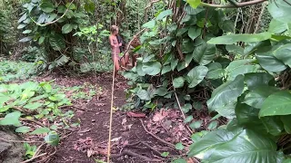 Margarite and Victoria on Climbing up the Hill in Sacred Valley in Maui