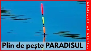 ✅ Pescuit la PLUTĂ în PARADIS  SĂLBATIC