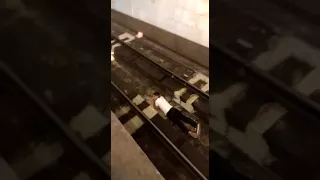 Metronun Xalqlar dostluğu stansiyasında sərnişin qatar gəlib çatan zaman relslərin üzərinə düşdü.