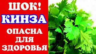 Шок! Кинза опасна! А вы ее любите? Польза и вред ... Противопоказания. Домашний очаг с Мариной