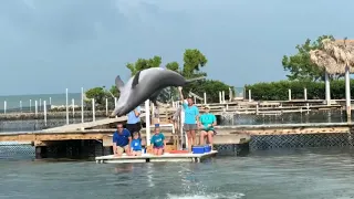 Dolphin Research Center