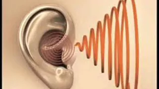 Tinnitus Sound Therapy, Tinnitus Masking, Ear Ringing Relief and Treatment Binaural Beats Music