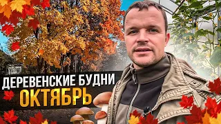 Деревенские будни. Октябрь.