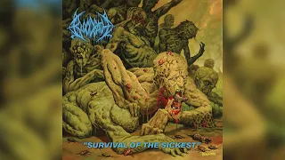 Bloodbath - "Survival of the Sickest" [Full Album]