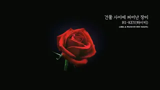 건물 사이에 피어난 장미(Rose Blossom) - 하이키(H1-KEY) 피아노커버