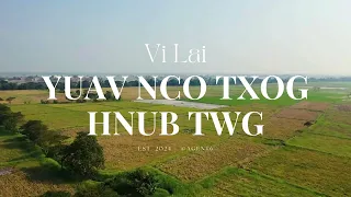 Yuav Nco Txog Hnub Twg (DEMO) - Vi Lai | Hmong New Song 2024)