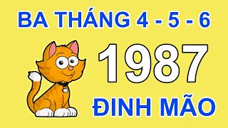 Tử Vi Tuổi Đinh Mão 1987 Trong 3 Tháng 4, 5, 6 2024 âm lịch Giáp Thìn | Lộc Vận Tử Vi