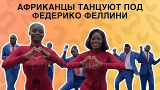 "ПРИВЕТ ИЗ АФРИКИ" танцуют под Galibri & Mavik - Федерико Феллини