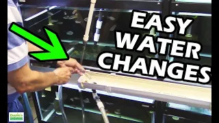 How To Do Water Changes in your Aquarium Fish Room. "Gary Don't Carry"