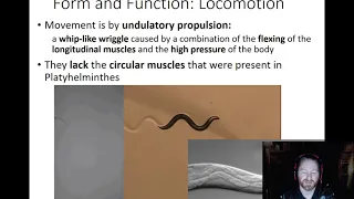 Nematoda - Locomotion and Reproduction