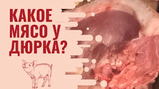 Сколько мяса в дюрке в 6,5 мес.