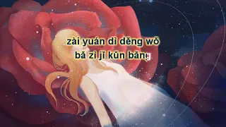 [KARAOKE] Nỗi đau biết thở | 会呼吸的痛 - Lương Tịnh Như