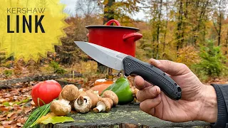 Нож Kershaw Link кухонный тест
