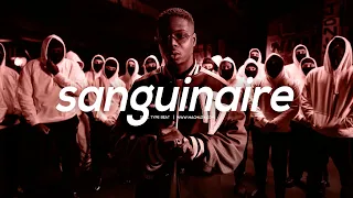 Ninho x Werenoi Type Beat - "SANGUINAIRE" Instru Drill 2023