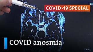 Latest research: Long-covid and the loss of smell | COVID-19 Special