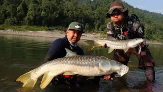 My Dream, My Journey. India, Golden Mahseer （Full Vision）