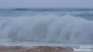 Sandy Beach Carnage During Hurricane Lester