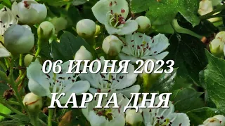 06 июня 2023 | карта дня | все знаки зодиака 🃏🍀💫