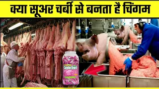 क्या सूअर के चर्बी से बनता है चिंगम।How to make Chingum in factory?।What is Chingum made of?