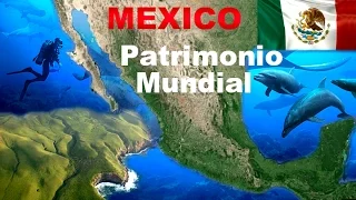 Nuevo  Patrimonio Mundial de la Humanidad: Archipiélago Islas Revillagigedo. Isla Socorro, Mexico