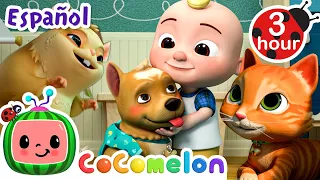 ¡Amamos a Nuestras Mascotas! | CoComelon y los animales 🍉| Dibujos animados para niños