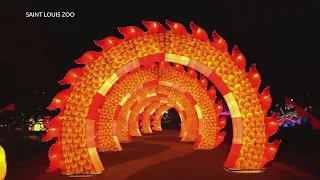 St. Louis Zoo preparing for first ever lantern festival