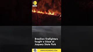 Firefighters tackle blaze at Juquery State Park, Brazil