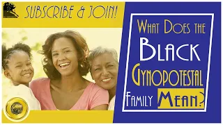 What Does the “Black Gynopotestal” Family Mean? (ft. @BGSIBMOR)