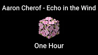 Echo in the Wind by Aaron Cherof - One Hour Minecraft Music