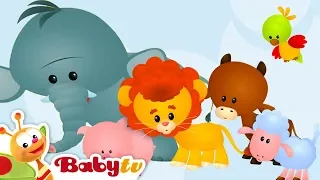 Animal Sounds and Names for Kids & Toddlers  🐄 🐑 | @BabyTV