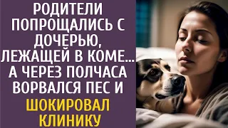 Родители попрощались с дочерью, лежащей в коме… А через полчаса ворвался пес и шокировал клинику