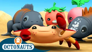 ​@Octonauts - The Red Rock Crabs | Season 3 | Full Episodes | Cartoons for Kids