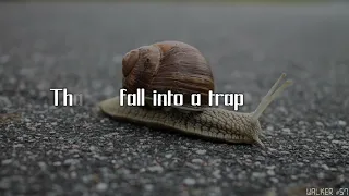 Jim Yosef & Shiah Maisel - Slow Down Lyrics (Best Lyric Video)