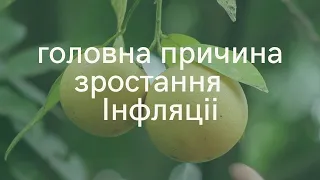 Зростають ціни на товари і послуги в Україні. Відповідь - чому це виникає?