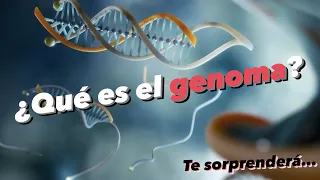 🧬¿Qué es el GENOMA y donde se encuentra?🧬¿Qué es el ADN? ✅ Los CROMOSOMAS, los GENES y más 🧬 Fácil 💯