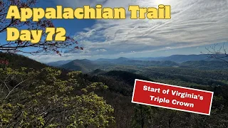 Appalachian Trail 2024 Day 72: Pickle Branch to Campbell Shelter