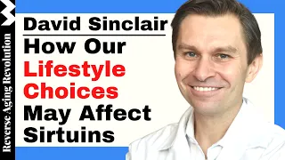 David Sinclair "How Our Lifestyle Choices May Affect Sirtuins"  | David Sinclair Interview Clips