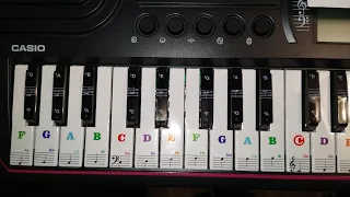 How to Label the Casio SA-78 44-Key Piano w/ Amazon Piano Stickers (Very Easy)