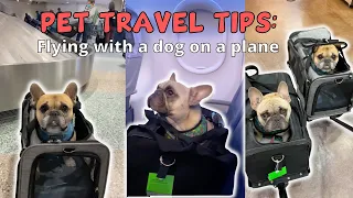 Best Travel Tips For Flying With Your Dog In Cabin (NON ESA) | LIFE SAVING Tips!
