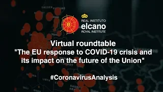 Virtual roundtable "The EU response to COVID-19 crisis and its impact on the future of the Union”