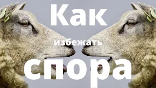 Как избежать спора