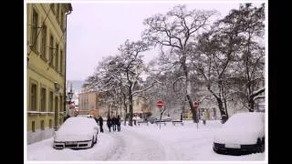 Сергей Трофимов - Черно-белое кино