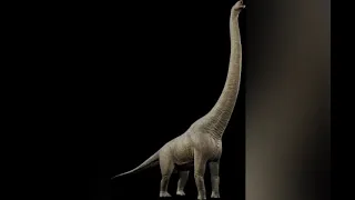 Dreadnoughtus reconstruction sounds