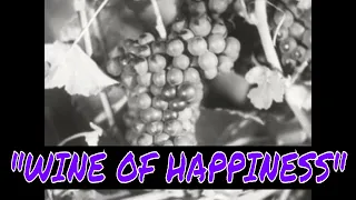 1930s HAUTVILLERS CHAMPAGNE PRODUCTION DOCUMENTARY  "WINE OF HAPPINESS"   FRANCE 15614