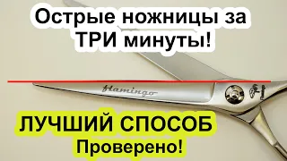 Как быстро ЗАТОЧИТЬ НОЖНИЦЫ / СЕКАТОР ЗА 3 МИНУТЫ! ПРОВЕРЕНО, ЛУЧШИЙ способ!