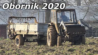 Obornik 2020 | Ursus C360 & Czarna białostocka