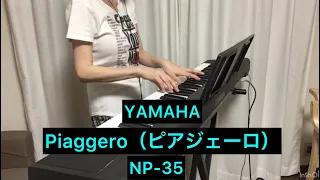 Introducing the new YAMAHA Piaggero NP-35