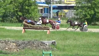 2 заезд Приз в честь дня России, 05 06 2021 Новосибирский ипподром